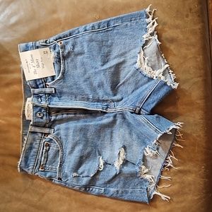 High Rise mom shorts size 24